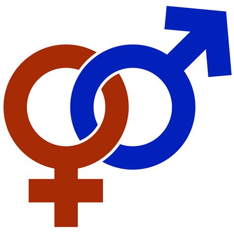 wikipedia gender identity|i identify my gender as.